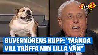 Guvernörens hund gör entré på scenen – mitt under konventet