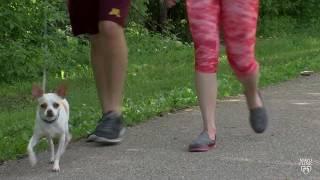 Mayo Clinic Minute 6 tips to keep you motivated for exercise