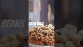 Grow Bean Sprouts at Home – Fast & Easy #homegrown #shortvideo #organic #shortsviral #healthyeating