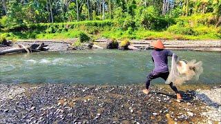 KAGET JALA IKAN SATU JAM DI SUNGAI INI DAPAT SEGINI.‼️Amazing fishing net