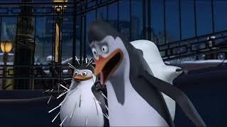 Kowalski Disoriented