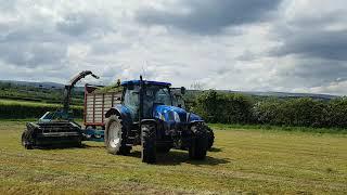 Silage 2021 - NH T6020 with Mengele SH40 Trailed harvester