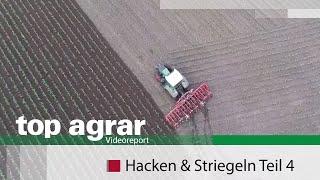 Videoreport Hacken & Striegeln Teil 4 Vorgewende Rückblick Maisernte