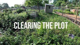 Day One On My First Allotment  Allotment For Beginners  Allotment Transformation