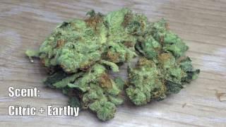 So G Kush Review * Cannabis * Strain * Indica *