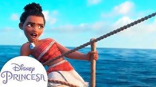 #Moana e Hei Hei em Aventura no Oceano  Disney Princesa