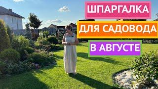 САМЫЕ ВАЖНЫЕ ДЕЛА В САДУ И ОГОРОДЕ В АВГУСТЕ 2024