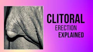 What Is Clitoral Erection ▶  Clitoral Erection Must See