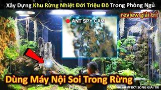 Xây Dựng Khu Rừng Nhiệt Đới Với Hệ Sinh Thái Tuyệt Vời Trong Phòng Ngủ P6 Review Giải Trí Đời Sống