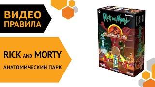 Рик и Морти Анатомический парк — настольная игра  Правила игры 