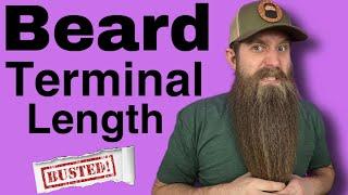 Beard Terminal Length - Facts vs Myths