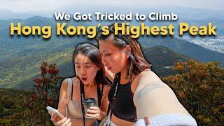 We Got Tricked to Climb Hong Kongs Highest Peak  The Travel Intern