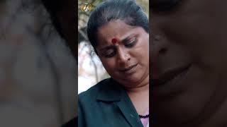 Karula kudi Bandha New Kannada Video Song SAHARA Manjesh Rajesh Krishnan SarikaRao PRK Audio