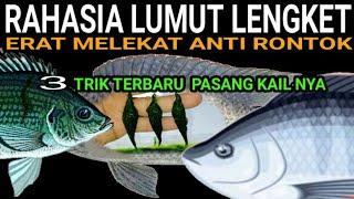 3 TRIK JITU LUMUT MELEKAT ERAT dikail.. Cara pasang kail lumut melekat anti lepas..  mancing nila