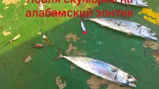 Ловля скумбрии на алабамский зонтик. Рыбалка в Швеции Балтийское море. Mackerel catching in Sweden.