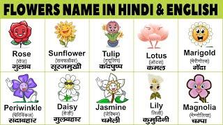 Flowers Name In Hindi & English With Pictures  name of flowers  फलों के नाम हिंदी और इंग्लिश में