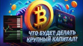 Что будет делать крупный капитал теперь? Обзор Биткоина