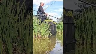 Edge Fishing Masterclass ️ #livematch #polefishing #angling #fishing