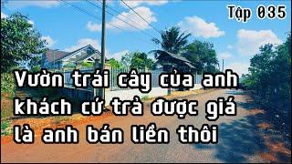 vườn trái cây có thổ cư khu dân cư bàn cờ mà 1 sào chỉ 850tr biết rẻ cũng phải bán