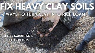 6 Ways to Fix Clay Garden Soil  EASY to HARD Methods