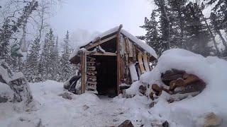 Building a log cabin in the wild forest выжимка