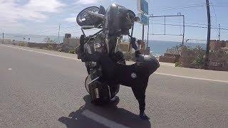 AMAZING Harley Davidson Bagger WHEELIES On Highway H-D DRIFTING Harley STUNTS WHEELIE DRIFT Video