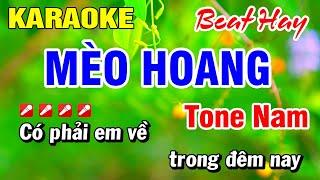 Karaoke Mèo Hoang Beat Hay Nhạc Sống Tone Nam  Hoài Phong Organ