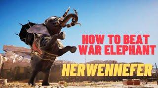 Hideout of Herwennefer  WAR Elephant Fight  Assassins Creed Origins