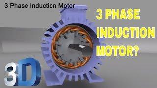 3 Phase Induction Motor