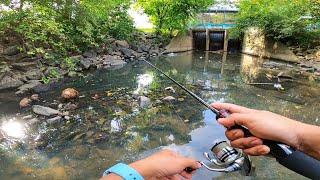 Menduga Lubuk Haruan Kampung Yooi  Banyak Haruan 