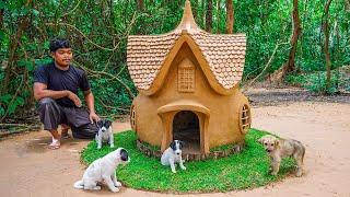 Building a doghouse for puppies - Rescue dogs