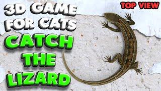 3D game for cats  CATCH THE LIZARD top view  4K 60 fps stereo sound
