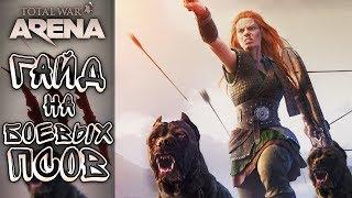 Total War Arena — Гайд на боевых псов ЧАСТИЧНО УСТАРЕЛО