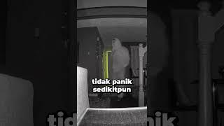 Kasus Pencurian Yang Tertangkap CCTV