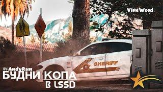 Будни КОПА  Как нужно стопать угонки  Работает LSSD VineWood