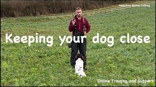 Teaching your dog to hunt close Gundog basics series