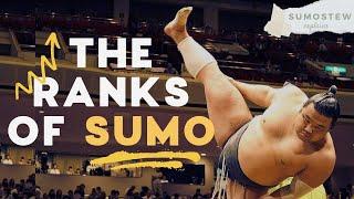 How Sumo Wrestlers are Ranked  Sumo Divisions Promotions & Banzuke Explained