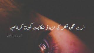 Muhabbat Kon Karta Hai  Urdu Aesthetic Poetry  Urdu Writes