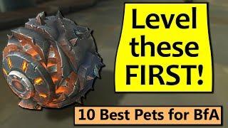 Level These First 10 Best Battle Pets in BfA