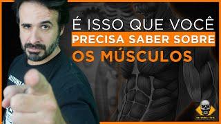 É ISSO QUE VOCÊ PRECISA SABER SOBRE OS MÚSCULOS