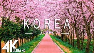 FLYING OVER KOREA 4K UHD - Relaxing Music Along With Beautiful Nature Videos - 4K Video Ultra HD