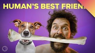 How Dogs Became Our Best Friends ft. MinuteEarth