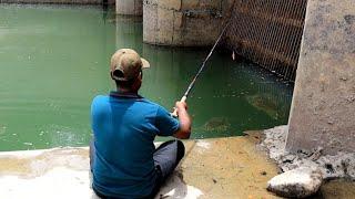 AWSOME fishingfisherman catching defrent fishes with small hook