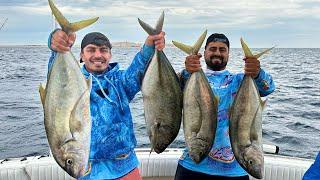 Balık Avlamak İçin Mısır’a Gittik  @DeliMiNe