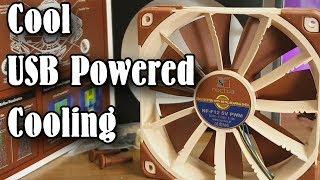 Noctua NF12 5v USB fan - A PC cooling fan powered by USB - A quick look.