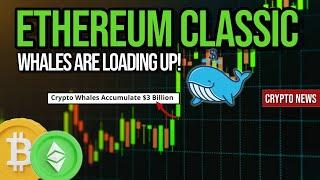 Ethereum Classic  Whales Are Loading Up