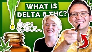 WHAT IS DELTA-8 THC? aka Weeds Little Brother