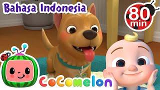 Bingo  CoComelon Bahasa Indonesia - Lagu Anak Anak