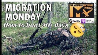 How To Hunt 50+ Days Per Season Migration Monday Duck Hunting DIY Waterfowl Podcast Goose Mallards