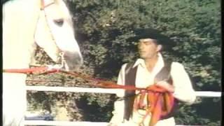 DEAN MARTIN & His Rare Andalusian Horses - Beautiful